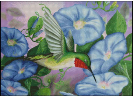 (image for) Hummingbird and Morning Glories